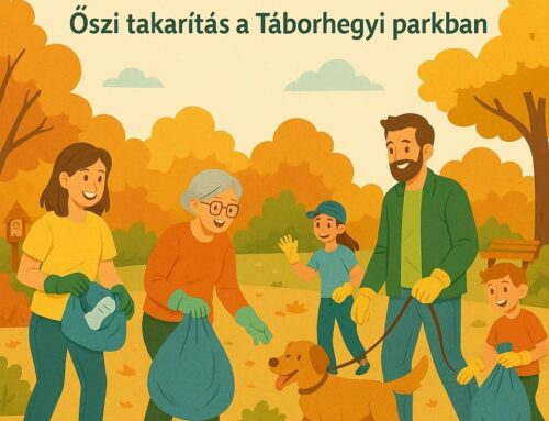 Őszi takarítás a Táborhegyi parkban