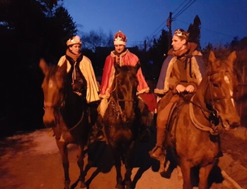 Csillagjárás a Hegyvidéken