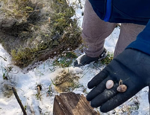 Tegyél a Hegyér(t)!